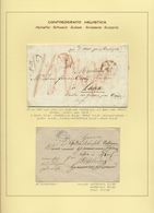 O/**/Br/ Schweiz: 1850-1963: Sehr Gepflegte Und Umfangreiche Sammlung Von Marken, Blocks Und Belegen Auf Selb - Unused Stamps