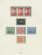 ** Triest - Zone B: 1948/1954, Complete Collection On Album Sheets Incl. Compulsory Surtax And Porto St - Ungebraucht
