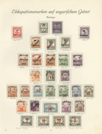 */O Ungarn - Besetzte Gebiete: Arad: 1919/1921, Mainly Mint Collection Of Apprx. 300 Stamps On Borek Alb - Autres & Non Classés