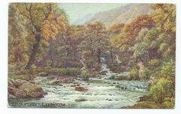 Devon Watersmeet   Postcard Artist Signed . A.R. Quinton.   . Salmon 960 Un Posted - Lynmouth & Lynton