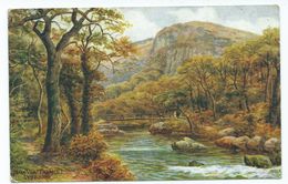 Devon Near Watersmeet   Postcard Artist Signed . A.R. Quinton.   . Salmon 3195  Un Posted - Lynmouth & Lynton