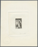 Thematik: Flora, Botanik / Flora, Botany, Bloom: 1966, FRANZ. SOMALIKÜSTE: Blüten 25 Fr. 'Aloe Sp.' - Sonstige & Ohne Zuordnung