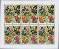 ** Thematik: Flora, Botanik / Flora, Botany, Bloom: 1973, Burundi. Progressive Proof (6 Phases) For The - Sonstige & Ohne Zuordnung