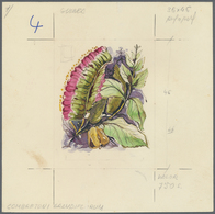 Thematik: Flora, Botanik / Flora, Botany, Bloom: 1974, Guinea, NATIVE FLOWERS, Final Drawing For Nom - Sonstige & Ohne Zuordnung
