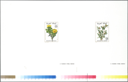 ** Thematik: Flora, Botanik / Flora, Botany, Bloom: 1980/1981, MAROKKO: Flowers 0.70dh. 'Bubonium Intri - Sonstige & Ohne Zuordnung