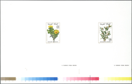 ** Thematik: Flora, Botanik / Flora, Botany, Bloom: 1980/1981, MAROKKO: Flowers 0.70dh. 'Bubonium Intri - Autres & Non Classés