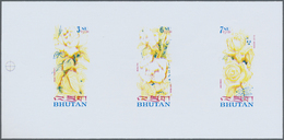 ** Thematik: Flora-Rosen / Flora-roses: 1973, BHUTAN: Roses Complete Set Of Six In Two Different Imperf - Rosen