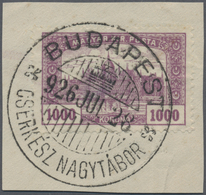 Brfst Thematik: Pfadfinder / Boy Scouts: 1926, Hungary. Scarce Scout Circular Cancel "Cserkesz Nagytabor B - Sonstige & Ohne Zuordnung