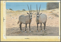 Thematik: Tiere, Fauna / Animals, Fauna: 1982, Bahrain. Artist's Drawing For The Fifth 100f Value Of - Other & Unclassified