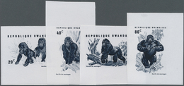 ** Thematik: Tiere-Affen / Animals-monkeys: 1970, RUANDA: Mountain Gorilla Complete Set Of Eight Imperf - Singes