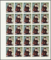 ** Thematik: Tiere-Affen / Animals-monkeys: 1972. Sharjah. Progressive Proof (5 Phases) In Complete She - Monkeys