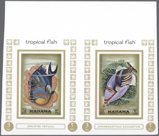 ** Thematik: Tiere-Fische / Animals-fishes: 1971, AJMAN-MANAMA: Tropical Fishes Complete Set Of Eight S - Pesci