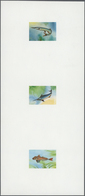 ** Thematik: Tiere-Fische / Animals-fishes: 1979, Mauritania - 6 Items; Collective, Progressive Plate P - Fische