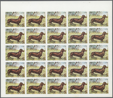 ** Thematik: Tiere-Hunde / Animals-dogs: 1972. Sharjah. Progressive Proof (6 Phases) In Complete Sheets - Dogs