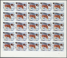 ** Thematik: Tiere-Hunde / Animals-dogs: 1972. Sharjah. Progressive Proof (5 Phases) In Complete Sheets - Cani