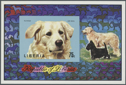 ** Thematik: Tiere-Hunde / Animals-dogs: 1974, LIBERIA: Dog ('Kuvasz') IMPERFORATE Miniature Sheet, Min - Chiens