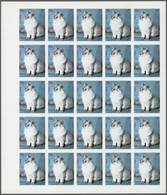 ** Thematik: Tiere-Katzen / Animals-cats: 1972. Sharjah. Progressive Proof (6 Phases) In Complete Sheet - Hauskatzen