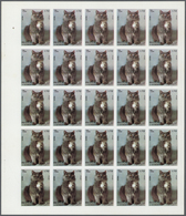 ** Thematik: Tiere-Katzen / Animals-cats: 1972. Sharjah. Progressive Proof (7 Phases) In Complete Sheet - Katten