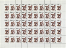 ** Thematik: Tiere-Katzen / Animals-cats: 1990, Yemen, 5f. To 600f., Complete Set Of Seven Values As Sh - Chats Domestiques