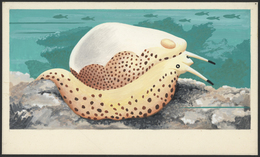 Thematik: Tiere-Meerestiere / Animals-sea Animals: 1972. Umm Al Qaiwain, Artist's Drawing For The 5d - Vita Acquatica