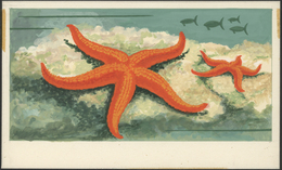 Thematik: Tiere-Meerestiere / Animals-sea Animals: 1972, Umm Al-Qaiwain. Artist's Drawing For The 1r - Vita Acquatica