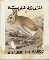 Thematik: Tiere-Nagetiere / Animals-rodents: 1984, Marokko, 1.40 Dh. Wüstenspringmaus (Jaculus Jacul - Knaagdieren