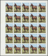 ** Thematik: Tiere-Pferde / Animals-horses: 1972. Sharjah. Progressive Proof (7 Phases) In Complete She - Paarden