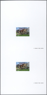 ** Thematik: Tiere-Raubtiere / Animals-predacious Cats: 1974, MAROKKO: Leopard 0.70dh. In A Vertical IM - Andere & Zonder Classificatie