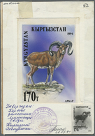 Thematik: Tiere-Säugetiere / Animals-mammals: 1995, Kyrgyzstan. 170 T Bighorn/Altai Wildschaf (Ovis - Altri & Non Classificati
