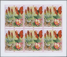 ** Thematik: Tiere-Schmetterlinge / Animals-butterflies: 1973, Burundi. Progressive Proof (6 Phases) Fo - Butterflies