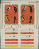 ** Thematik: Tiere-Vögel / Animals-birds: 1970, Burundi, Lanius Excubitor, Sturnus Vulgaris, Motacilla - Other & Unclassified