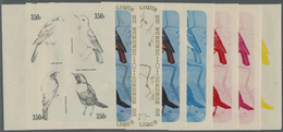 ** Thematik: Tiere-Vögel / Animals-birds: 1970, Burundi, Lanius Senator, Monticola Saxatilis, Phoenicur - Andere & Zonder Classificatie