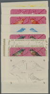 ** Thematik: Tiere-Vögel / Animals-birds: 1970, Burundi, Phoenicurus Phoenicurus, Prunella Modularis, M - Autres & Non Classés