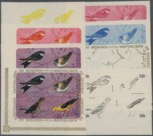 ** Thematik: Tiere-Vögel / Animals-birds: 1970, Burundi, Delichon Urbica, Acrocephalus Schoenobaenus, T - Altri & Non Classificati