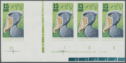 ** Thematik: Tiere-Vögel / Animals-birds: 1970, GDR. IMPERFORATE Horizontal Bottom Margined Strip Of 4 - Other & Unclassified