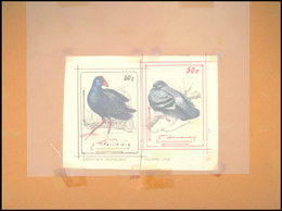 Thematik: Tiere-Vögel / Animals-birds: 1981, Aitutaki: BIRDS, Accepted Drawing "Purpurralle (Porphyr - Autres & Non Classés