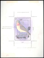 Thematik: Tiere-Vögel / Animals-birds: 1981, Aitutaki: BIRDS, Accepted Drawing "Viti-Levu-Blauschopf - Other & Unclassified