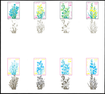 ** Algerien: 1986, FLORA, Narcissus Tazetta, Iris Nguicularis, Capparis Spinosa, Gladiolus Segetum -  1 - Algerije (1962-...)