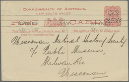 GA Neusüdwales: 1912 (19.7.), Stat. Postcard 1d. Arms With Divided Address Side Perforated OS/NSW From - Briefe U. Dokumente