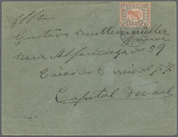 Br Brasilien: 1891/1892, Allegory 100r. Blue/red With INVERTED CENTRE, Single Franking On Cover From "R - Other & Unclassified