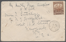 Br Neufundland: SUPPLEMENTARY MAIL „HANDLEY PAGE”: 1919, Unoverprinted Caribou 3 C. Brown Without Cance - 1857-1861