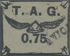 O Französisch-Guyana - Flugmarken (T.A.G.): 1921, T.A.G.-issue: 75 C Black On Gray (wing Helmet), Used - Lettres & Documents