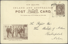 GA Neuseeland - Ganzsachen: 1900/1901, Pictorial Stat. Postcards QV 1d. Brown On Creme Stock Twelve Dif - Postal Stationery