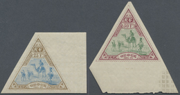 * Obock: 1894, 25 Fr. Palebrown/blue And 50 Fr. Lilac Red/green, Both Unused With Big Sheet Margins, F - Other & Unclassified