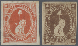 (*) Paraguay: 1870/1880 (ca.), "Seated Lion", Two Essais In Orange Resp. Brown, Differing Design Than Is - Paraguay