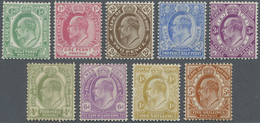 * Kap Der Guten Hoffnung: 1902/1904, KEVII Definitives Complete Set, Mint Hinged (4d. Toned), SG. £ 25 - Cape Of Good Hope (1853-1904)