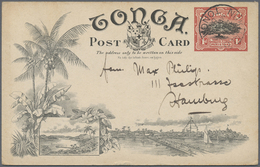 GA Tonga: 1908 (20.3.), Native Tree 1d Red/black Pictorial Stat. Postcard Used From NUKUALOFA To Hambur - Tonga (...-1970)