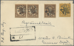 Br Vereinigte Staaten Von Amerika - Stempel: BUG Fancy Cancel + B/s "BUG SEP 14 1930" On Colourfull Fra - Storia Postale