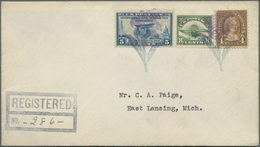 Br Vereinigte Staaten Von Amerika - Stempel: FLOWER (tulip?) Green/violet Bicolour Fancy Cancel + B/s G - Storia Postale