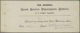 Br Brieftaubenpost: 1899, New Zealand Great Barrier Pigeongram Service, Complete Receipt Dated 18/8/99 - Duiven En Duifachtigen